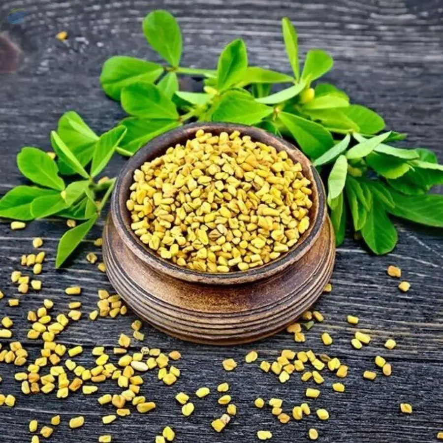 Fenugreek Seeds