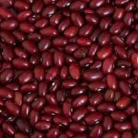 Kashmiri Rajma