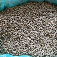 Arabica Coffee Bean Grade A