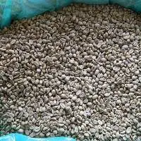 Arabica Coffee Bean Grade A