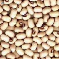 Lobia (White) - White Kidney Bean