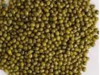 Moong Sabut/Whole - Green Gram