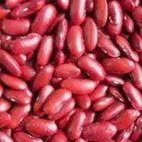 Rajma (Sharmili)-  Dark Red Kidney Beans