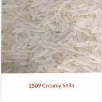 1509 Creamy Sella Rice