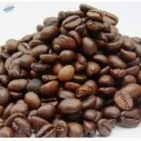 Robusta Coffee