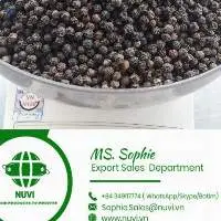 Black Pepper All Grades