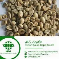 Green Coffee Beans from Vietnam