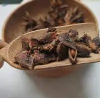 Broken Star Anise For Wholesale From Vietnam