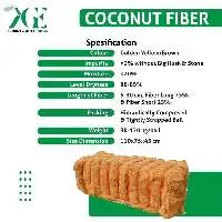 Coco Fiber
