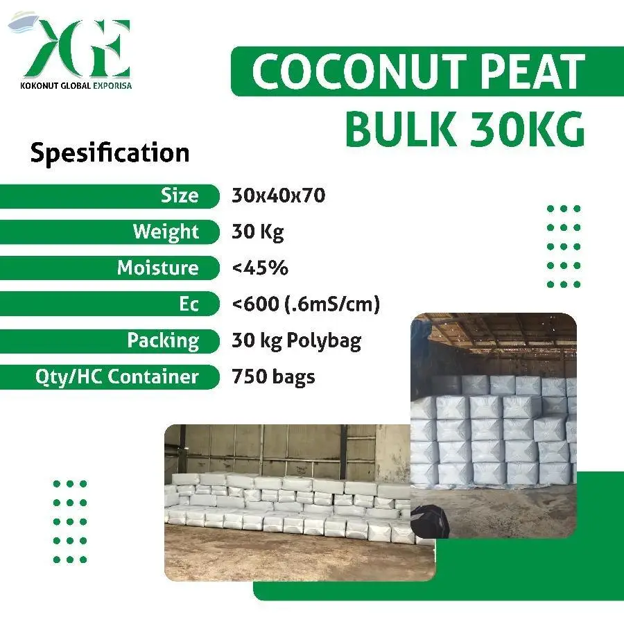 Coco Peat Bulk