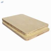 Birch DD Plywood (LVD)