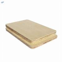 Birch DD Plywood (LVD)
