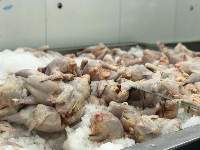 Frozen Chicken