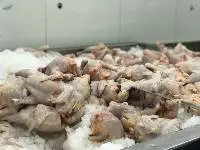 Frozen Chicken