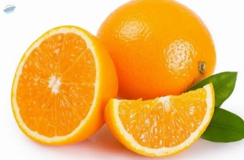 Fresh Orange