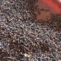 Cloves