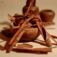 Cinnamon Bark
