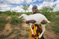 Live Goats [Young]