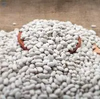White Pea Beans