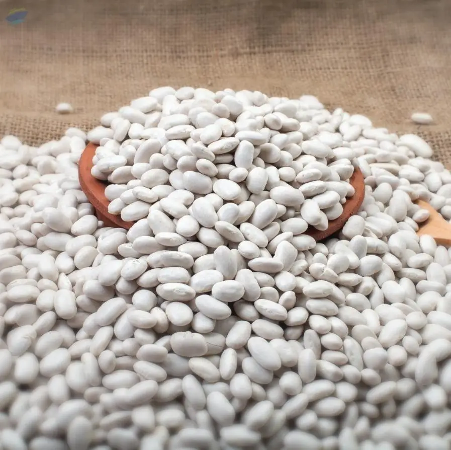 White Pea Beans