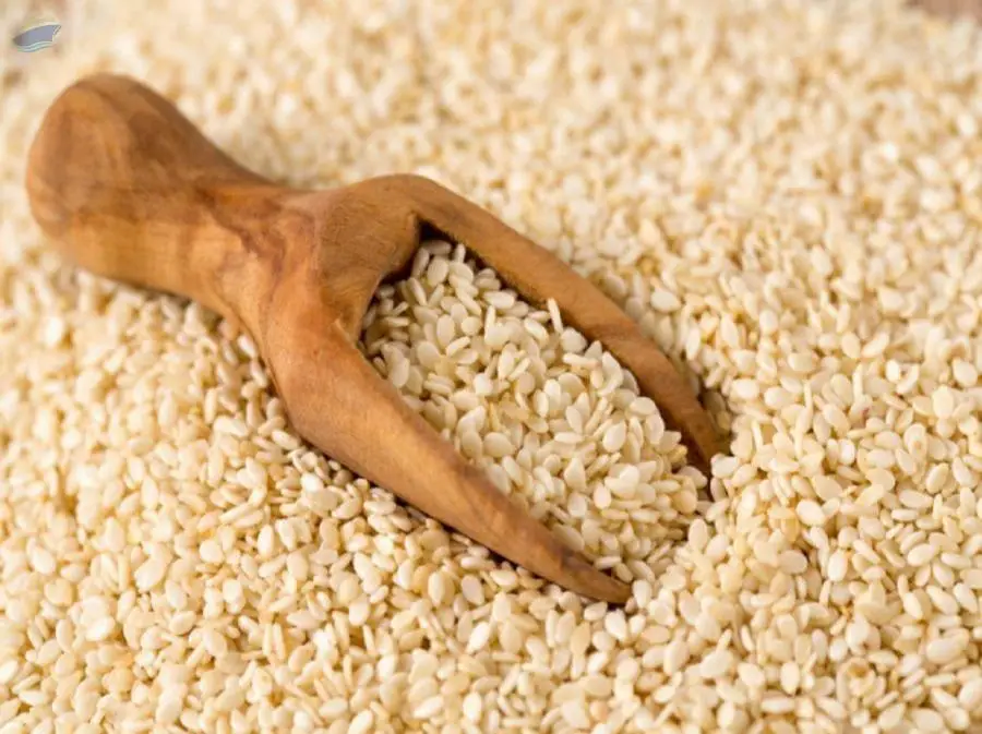 Whitish Sesame Seeds