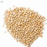 Pigeon Peas