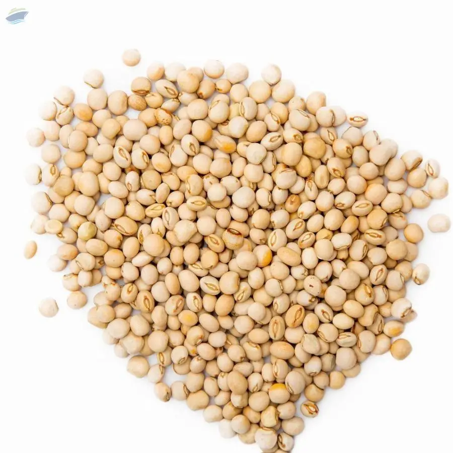 Pigeon Peas