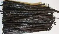 Vanilla Beans