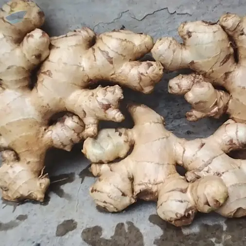 Fresh Ginger