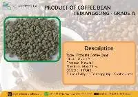 Robusta Coffee Temanggung - Central Java