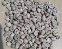 Robusta Green Beans Coffee - Bogor