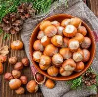 Turkish Hazelnut