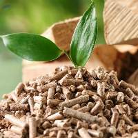 Wood Pellet