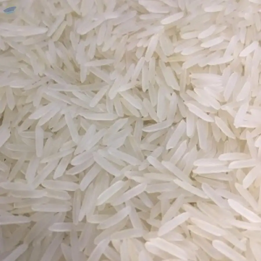 1509 White Creamy Sella