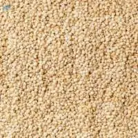 Amaranth Millet