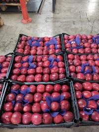 Red Apple