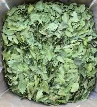 Bay Leaves - Georgian