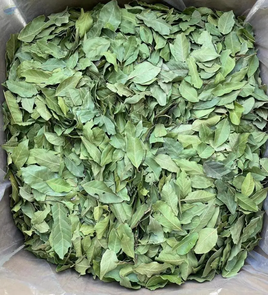 Bay Leaves - Georgian