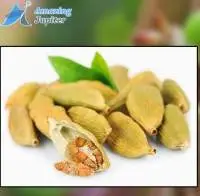 Cardamom Seeds