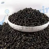 Black Matpe/ Black Gram/ Urad Bean