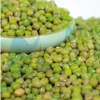 Green Gram/ Mung Bean/ Moong Bean