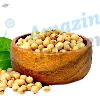 Soya Bean