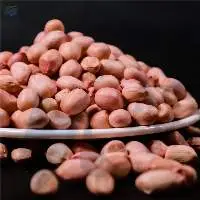 Groundnut / Peanut (White & Red)