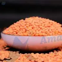 Red Lentils