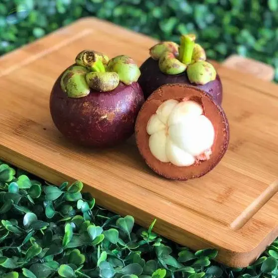 Fresh Mangosteen