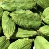 Green Cardamom