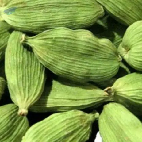 Green Cardamom