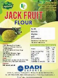 Jack Fruit Flour