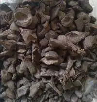 Palm Kernel Shell