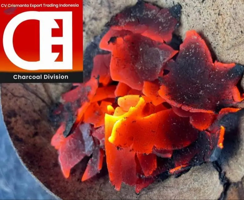 Coconut Shell Charcoal
